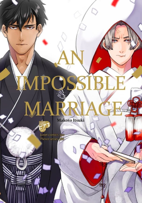 An Impossible Marriage cover image