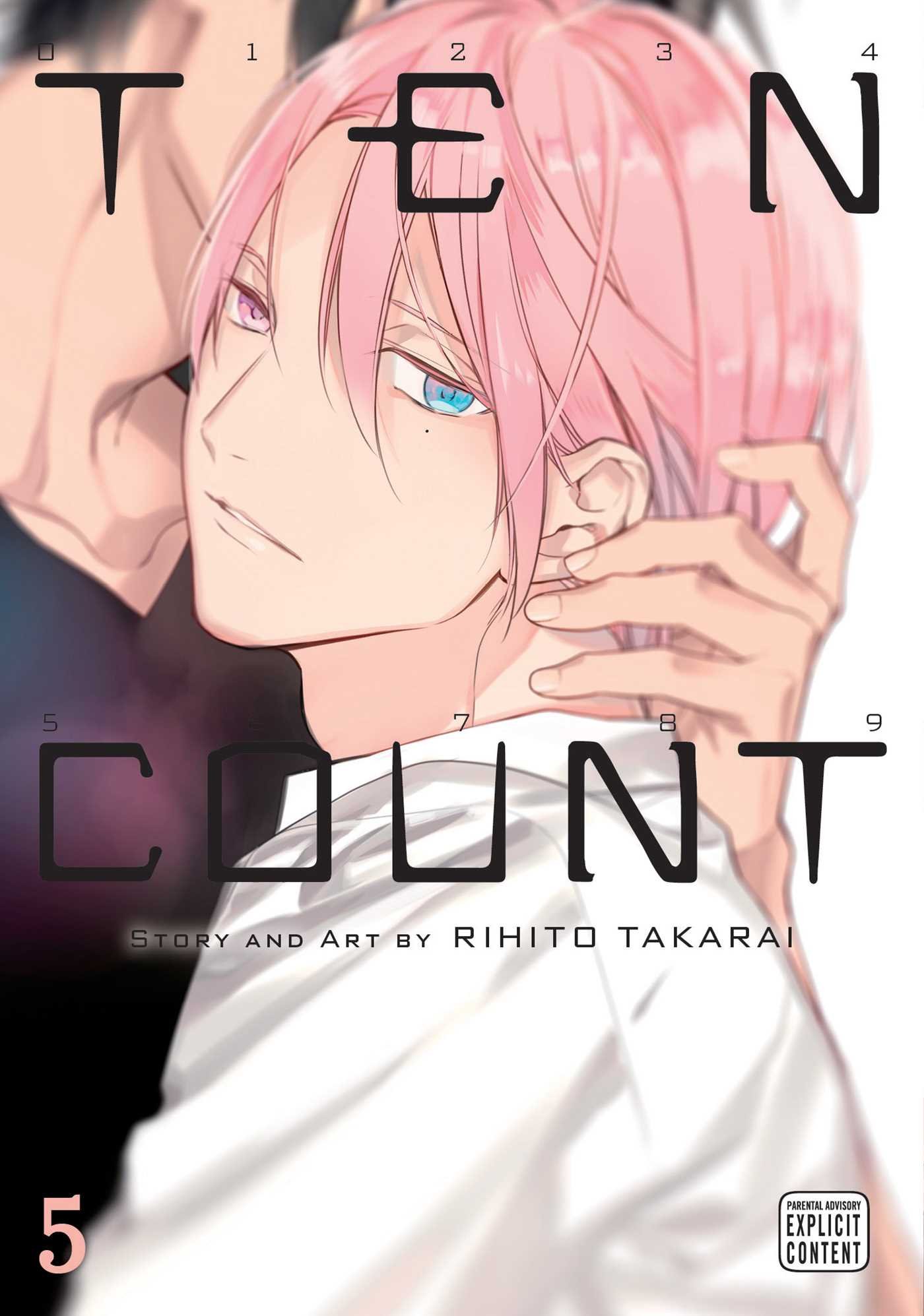 Ten Count cover image